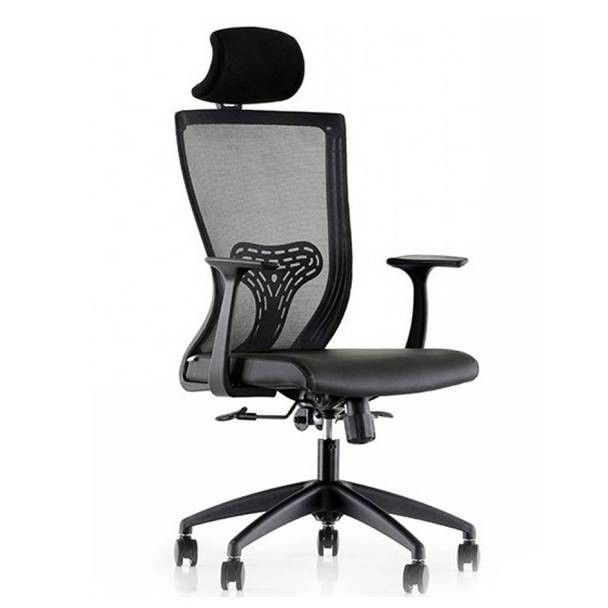Ofis Sandalyesi Ergonomik Bel Destekli Ringo
