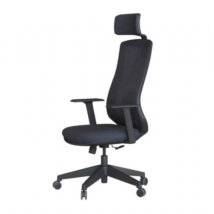 Pony 01 Ergonomik Fileli Ynetici Koltuu