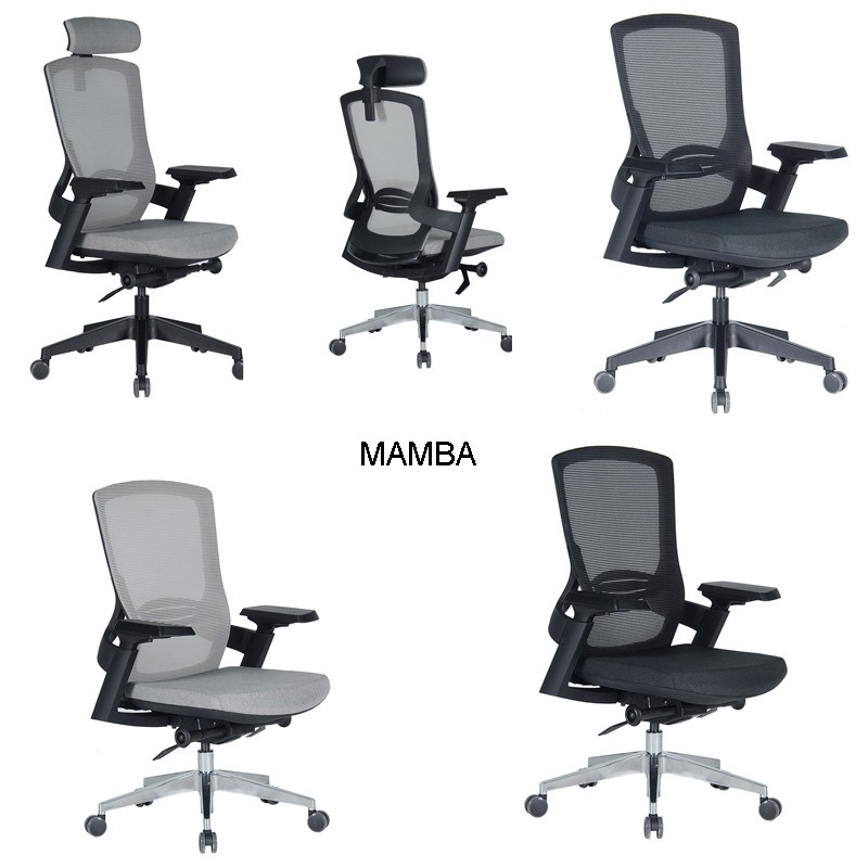 Mamba