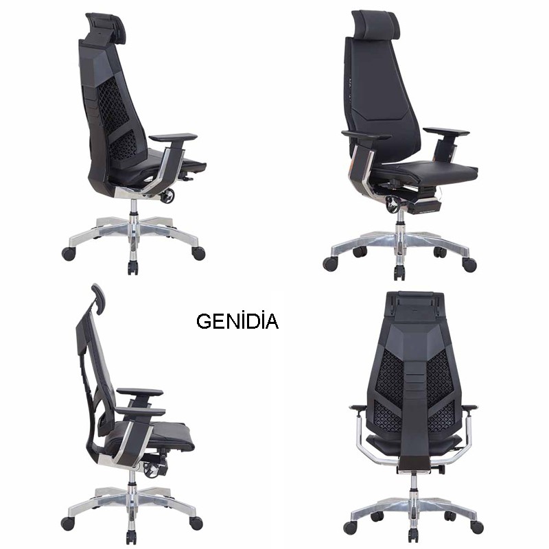 Genidia