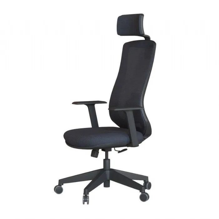 Pony — Ergonomik Fileli Yönetici Koltuğu Pony — Ergonomik Fileli Yönetici Koltuğu - PONY01 | Nazalli üretimi